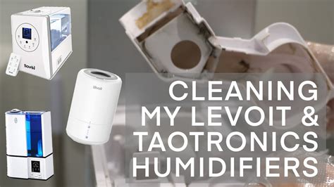 How To Clean Levoit Humidifier Reddit