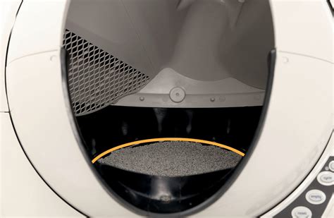 How To Clean Litter Robot 3 Globe