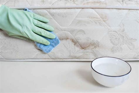 How To Clean Mold In Bedroom