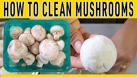 how to clean mushrooms before cooking