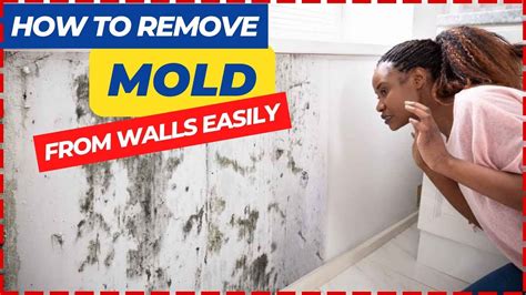 How To Clean Off Mold