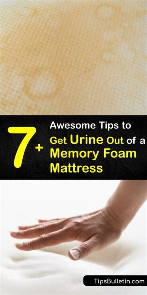 How To Clean Pee From Memory Foam