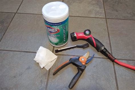 How To Clean Pruning Tools