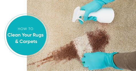 How To Clean Set In Stains On Carpet