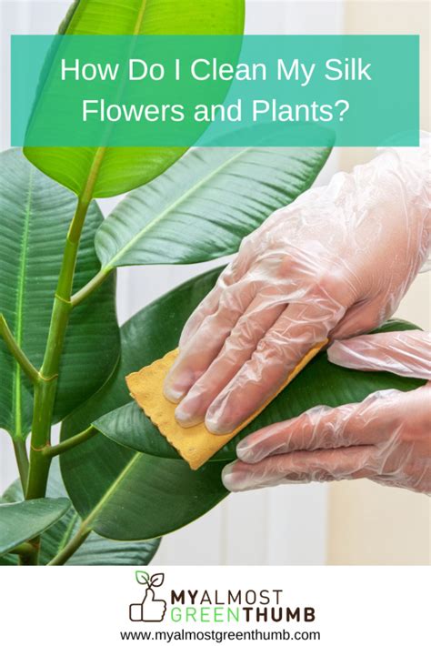 How To Clean Silk Tree