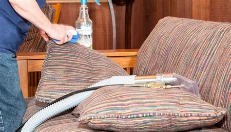 How To Clean Sofa From Bugs