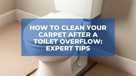 How To Clean Toilet Overflow On Carpet