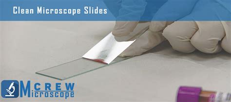 How To Clean Used Microscope Slides