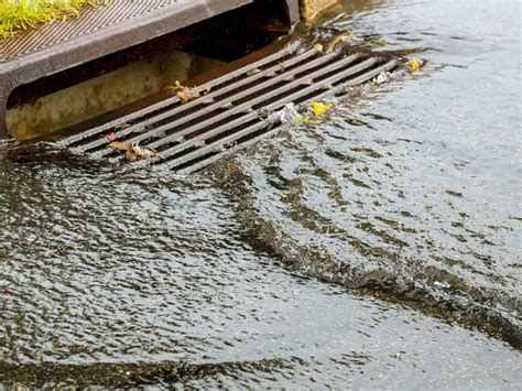 how to clean your storm drain