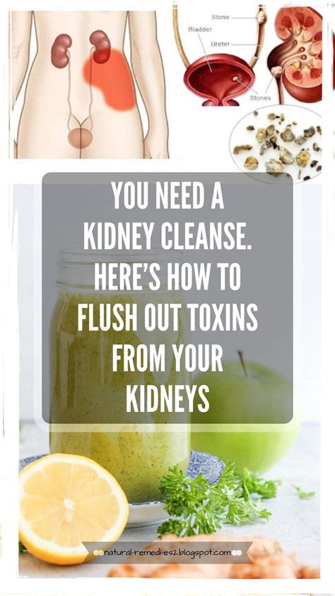 How to Do a Kidney Cleansing Fast Kidney health, Kidney cleanse
