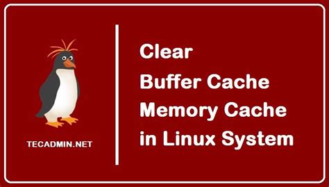how to clear cache in linux server