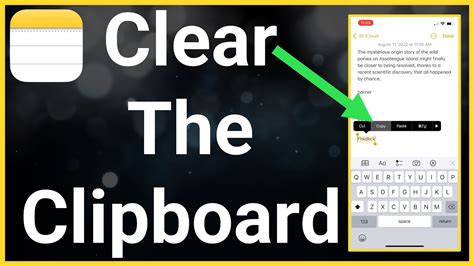 How To Clear Copy And Paste Clipboard Iphone