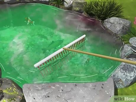 how to clear pond algae