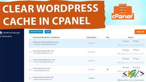 how to clear wordpress cache from cpanel