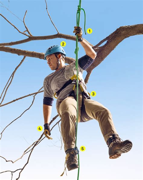 How To Climb A Tree With A Rope