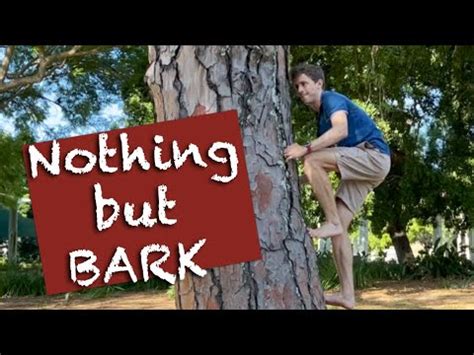 How To Climb A Tree Without Branches