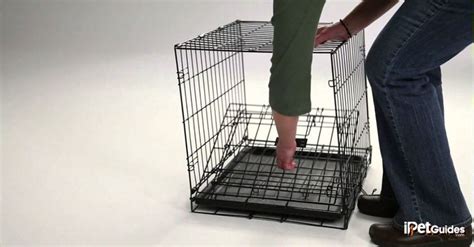 How To Collapse Dog Crates