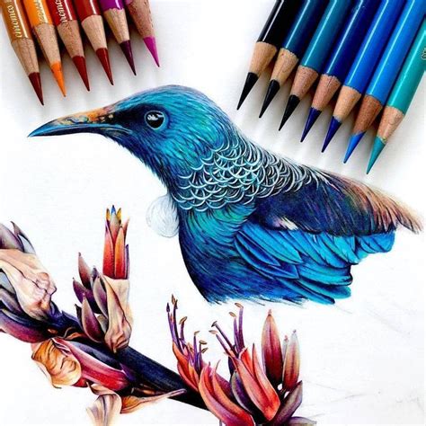 how to colour in a sketch