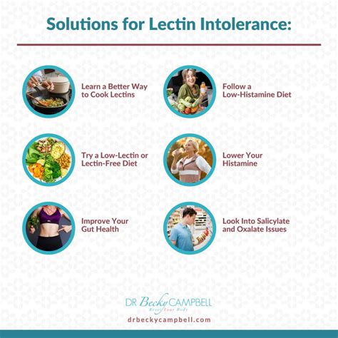 How To Combat Lectins