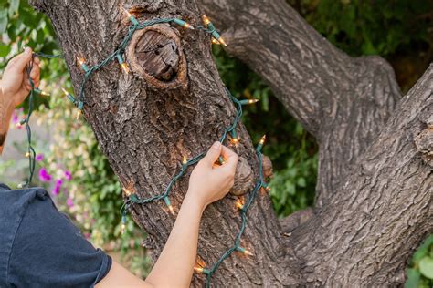 How To Connect String Lights To Tree