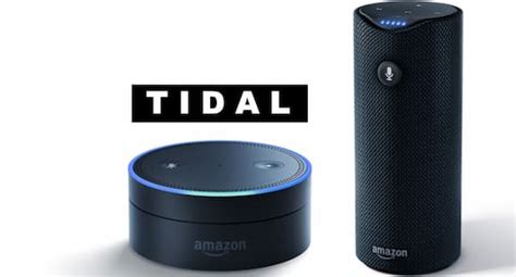 how to connect tidal to alexa