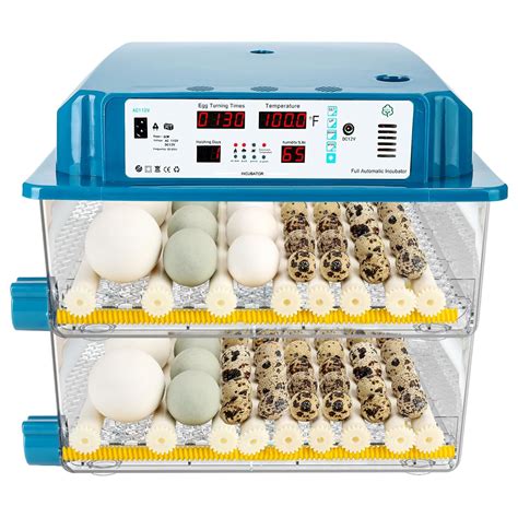 How To Control Humidity In An Incubator