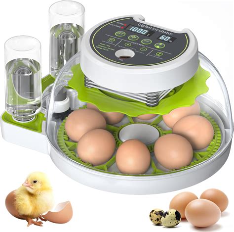 How To Control Humidity In Egg Incubator