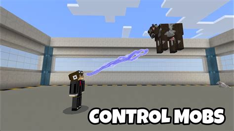 How To Control Mobs In Minecraft Command