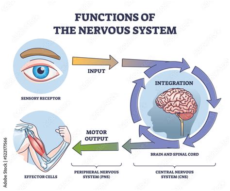 how to control nervous problem