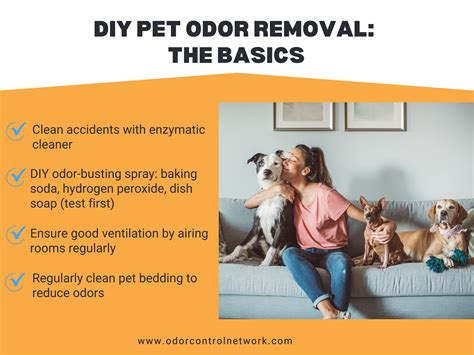How To Control Pet Odor