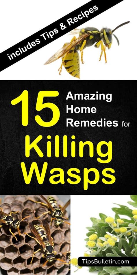 how to control wasps