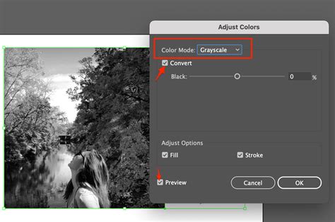 how to convert image into grayscale in illustrator