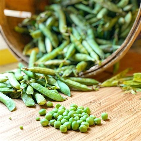 how to cook fresh peas from garden
