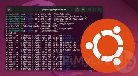 how to copy a file in ubuntu terminal