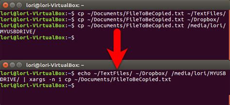 how to copy a file to different directory in linux