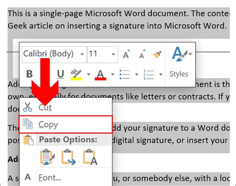 how to copy a page in word to another document