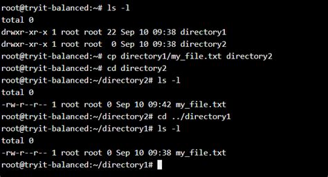 how to copy all files from one directory to another in linux terminal