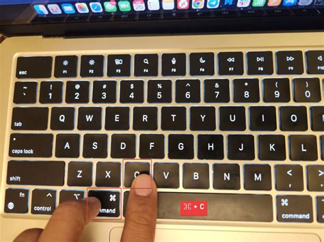 how to copy and paste a folder in macbook pro
