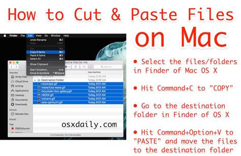 how to copy and paste a folder on a mac