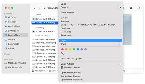 how to copy and paste a picture on macbook from google