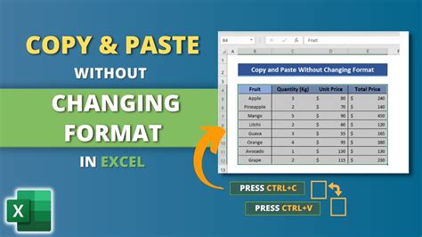 how to copy and paste data in excel without changing the format