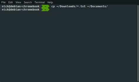 how to copy and paste file in linux server