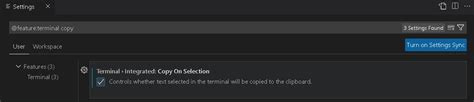 how to copy and paste in terminal vscode