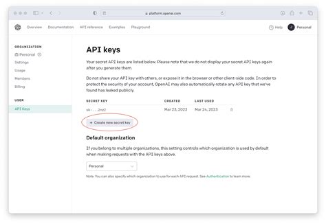 how to copy api key openai