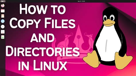 How To Copy Directories In Linux Terminal