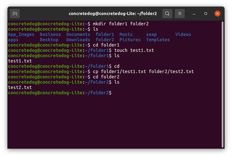 how to copy directory and files in linux