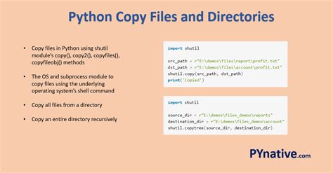how to copy file from one folder to another folder in python