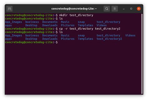 how to copy files from a directory in linux