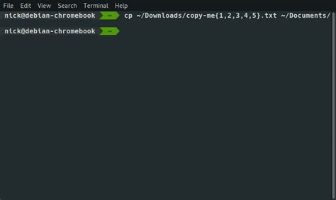 how to copy files in linux terminal to usb