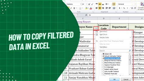 how to copy filtered data in excel to another excel sheet
